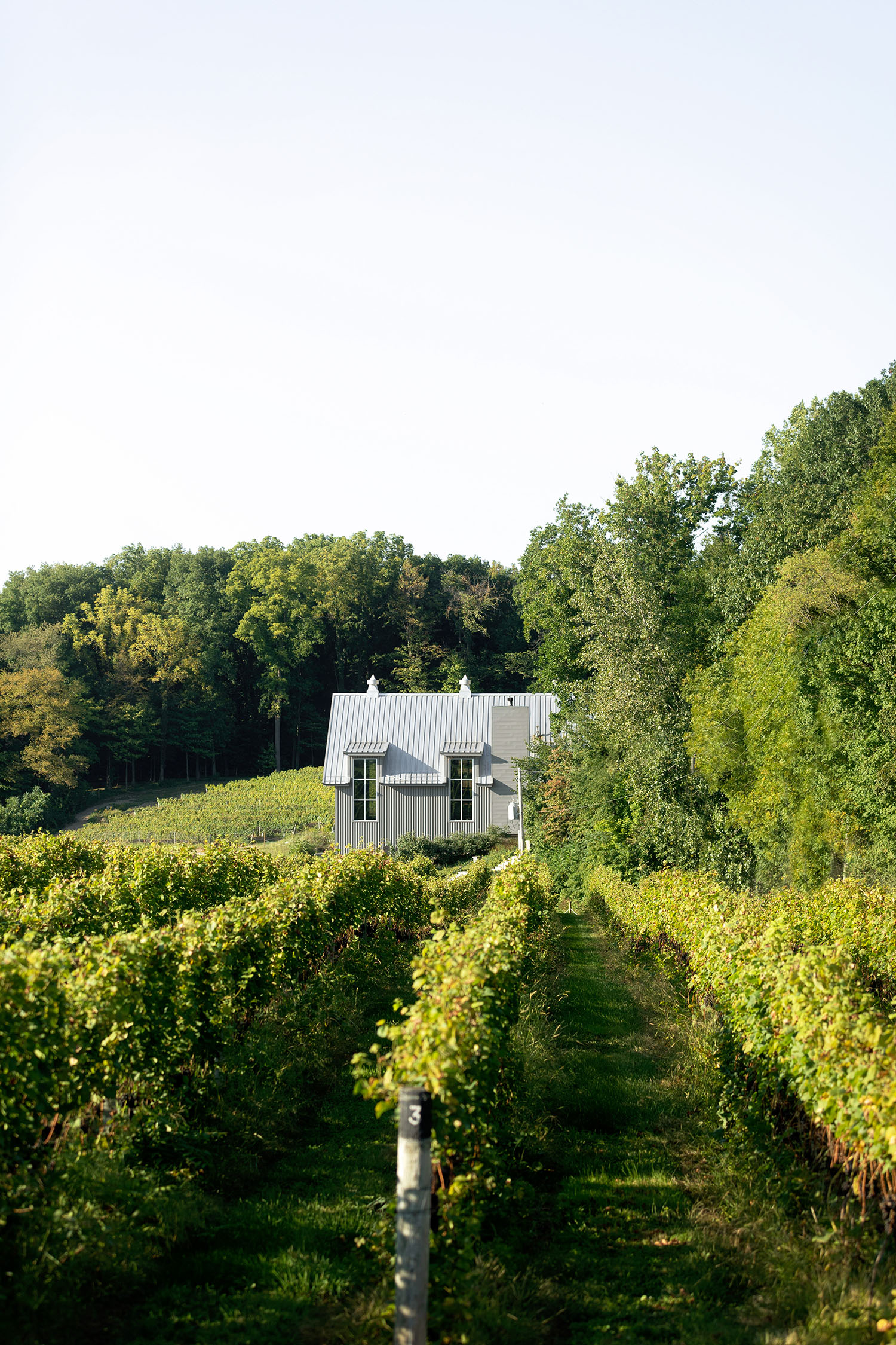 Dablon_Vineyards-175-web